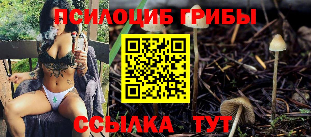Галлюциногенные грибы Psilocybine cubensis  Вход с VPN  Бердск 