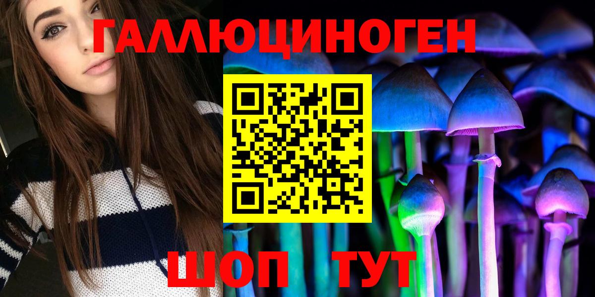 Псилоцибиновые грибы Cubensis Бердск